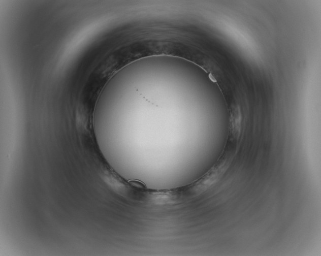 X0000112020574200908101405