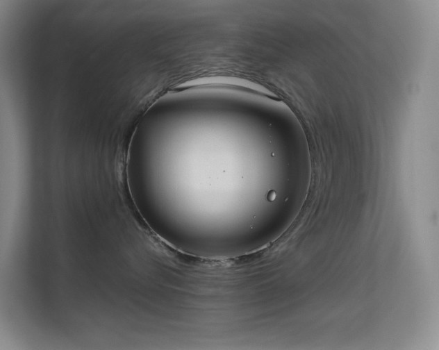 X0000112020576200908101405