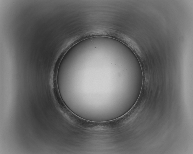 X0000112020578200908101404