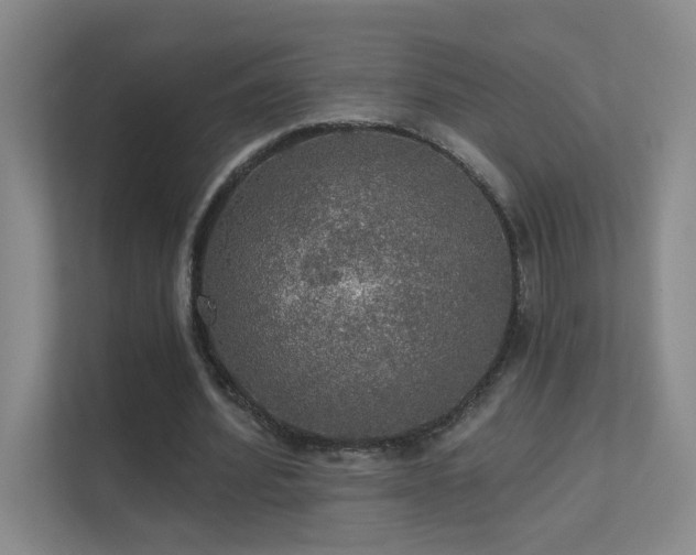 X0000112020580200908101404