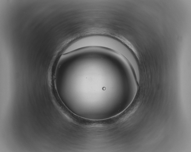 X0000112020581200908101404