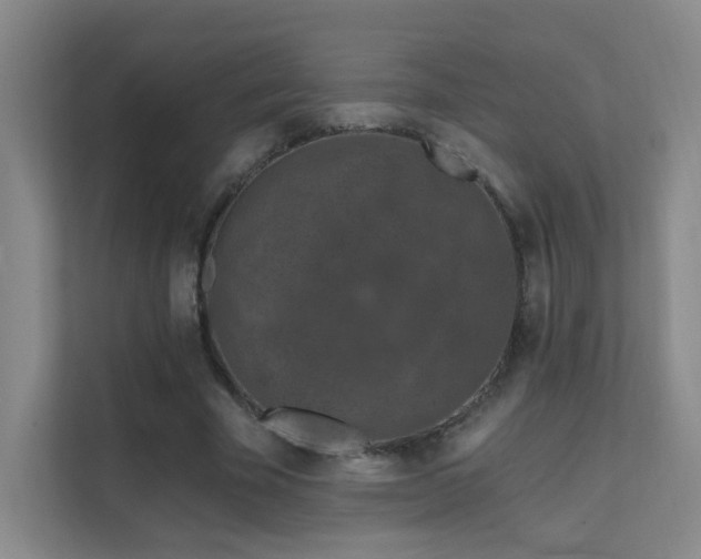 X0000112020585200908101404