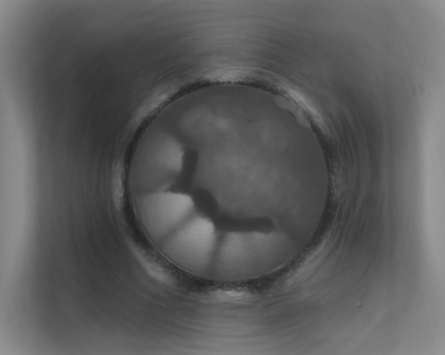 X0000112020586200908101404