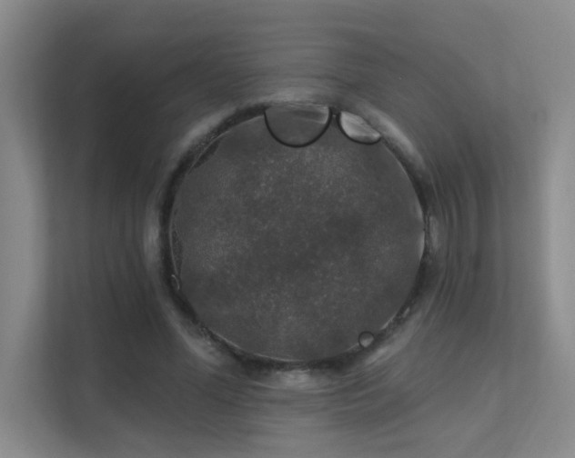 X0000112020588200908101404