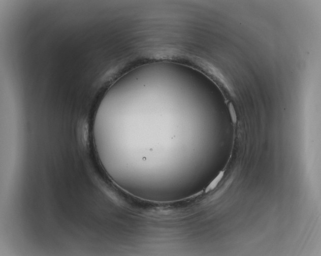 X0000112020589200908101404