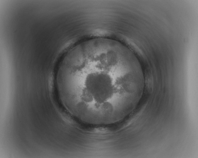 X0000112020591200908101404