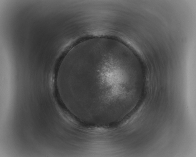 X0000112020592200908101404