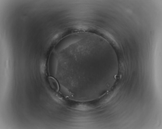 X0000112020596200908101404