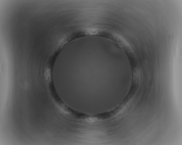 X0000112020598200908101404