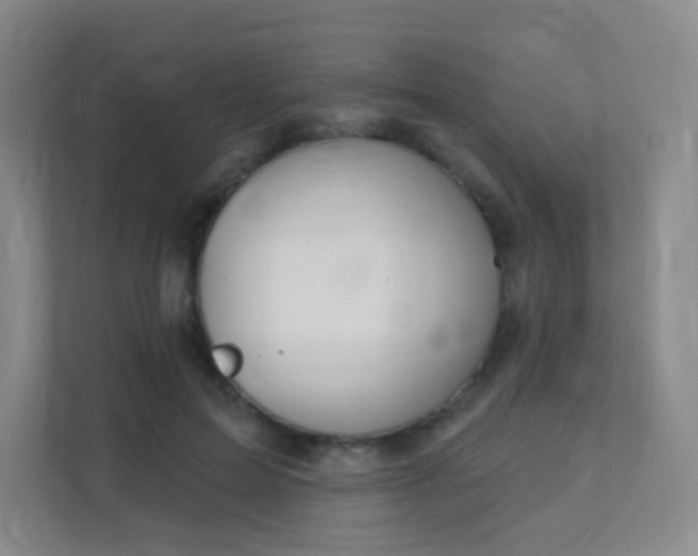 X0000112020599200908101404