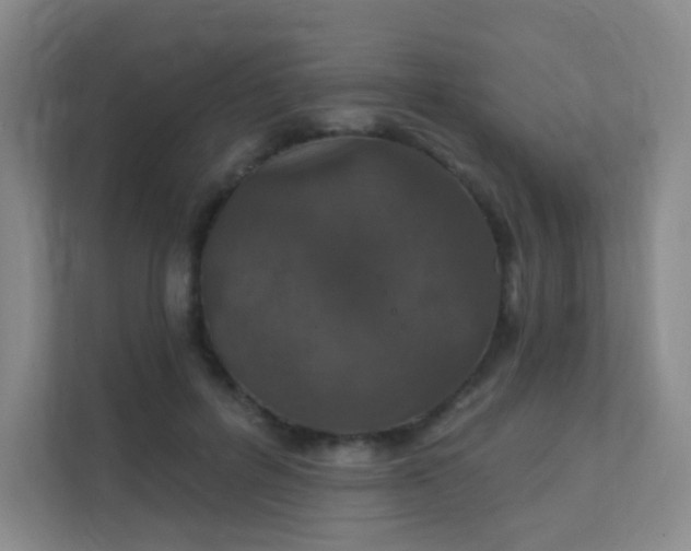 X0000112020600200908101404