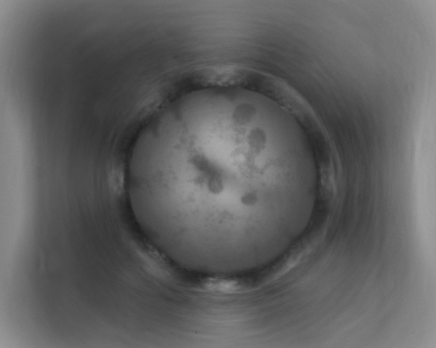 X0000112020602200908101404