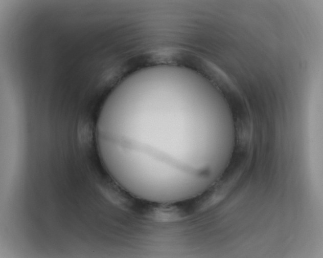 X0000112020603200908101404