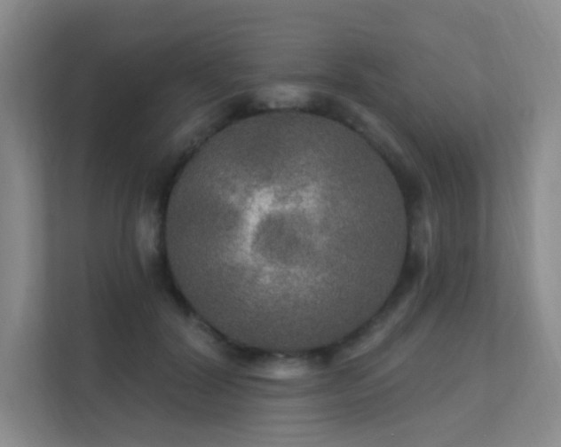 X0000112020604200908101404