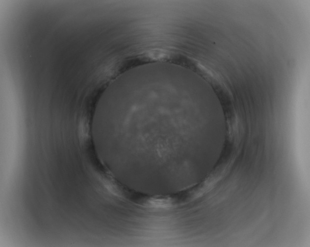 X0000112020606200908101404