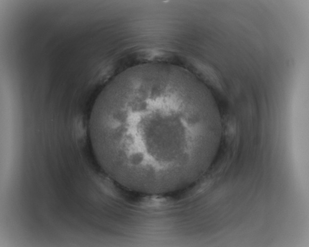 X0000112020607200908101404