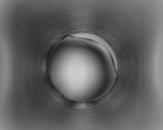 X0000112020611200908101403