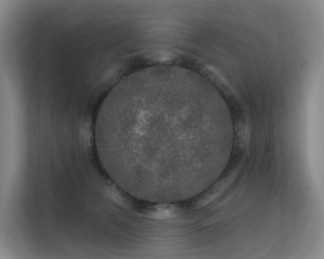 X0000112020612200908101403