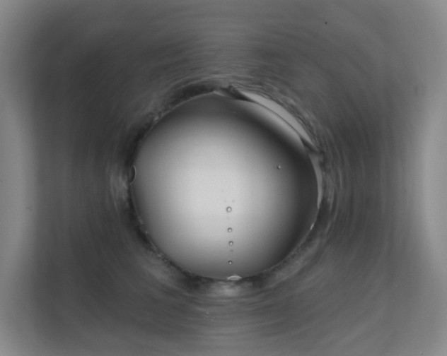 X0000112020613200908101403