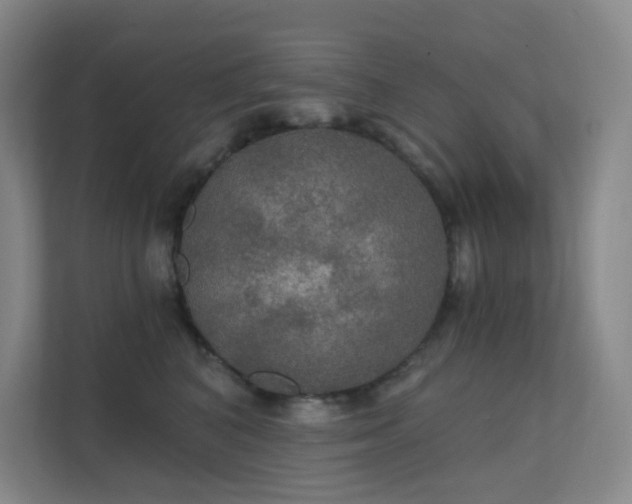 X0000112020616200908101403