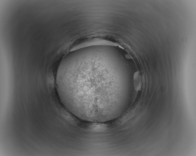 X0000112020617200908101403