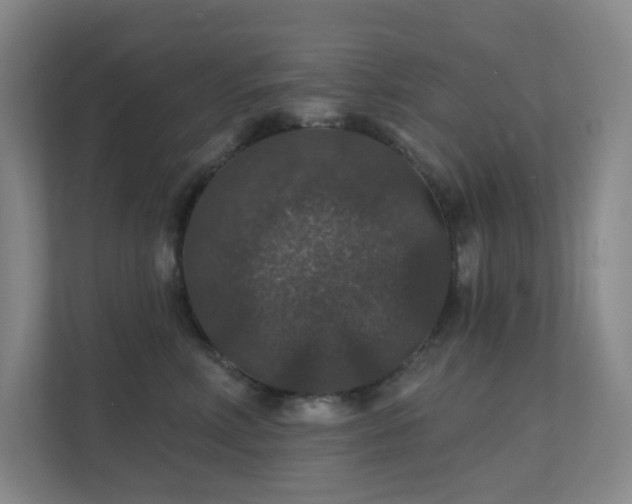 X0000112020618200908101403