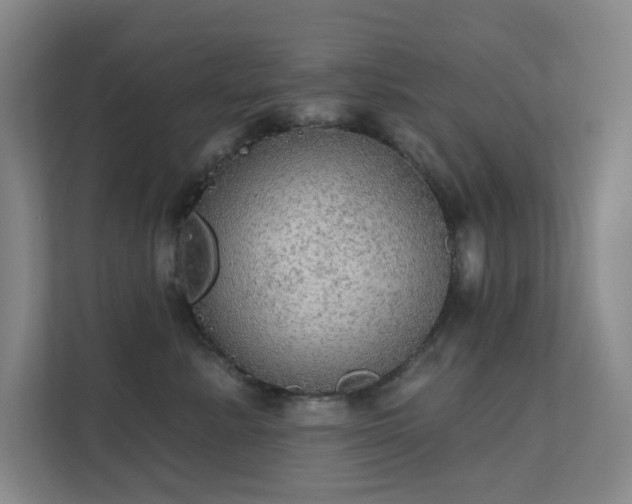 X0000112020619200908101403