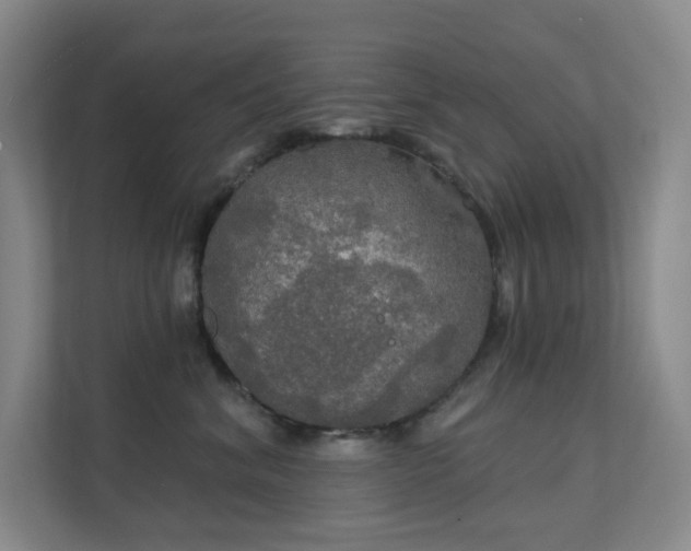 X0000112020620200908101403