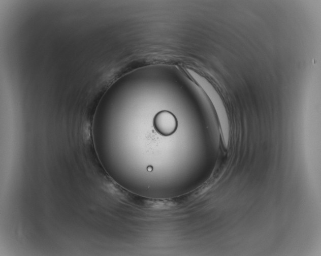 X0000112020621200908101403