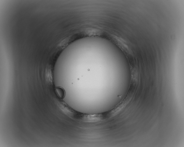 X0000112020622200908101403