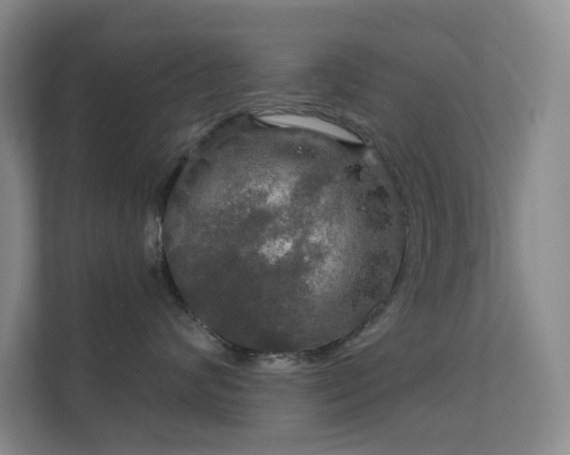 X0000112020624200908101403