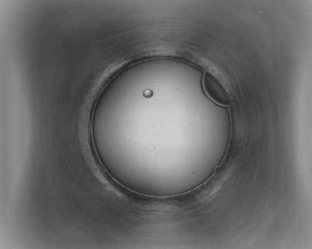 X0000112020625200908101403