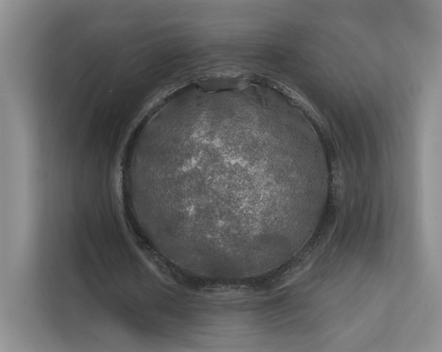 X0000112020626200908101403