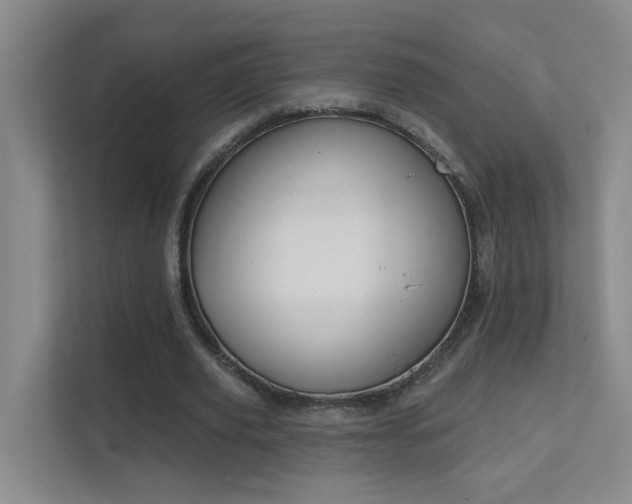 X0000112020629200908101403