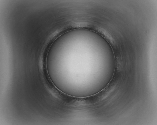 X0000112020631200908101403