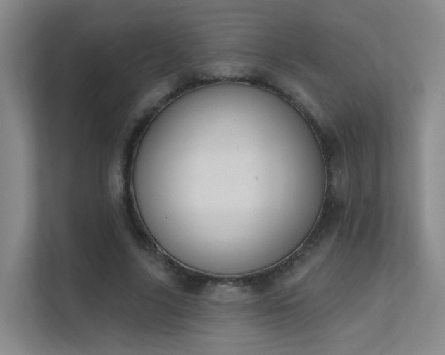 X0000112020635200908101403