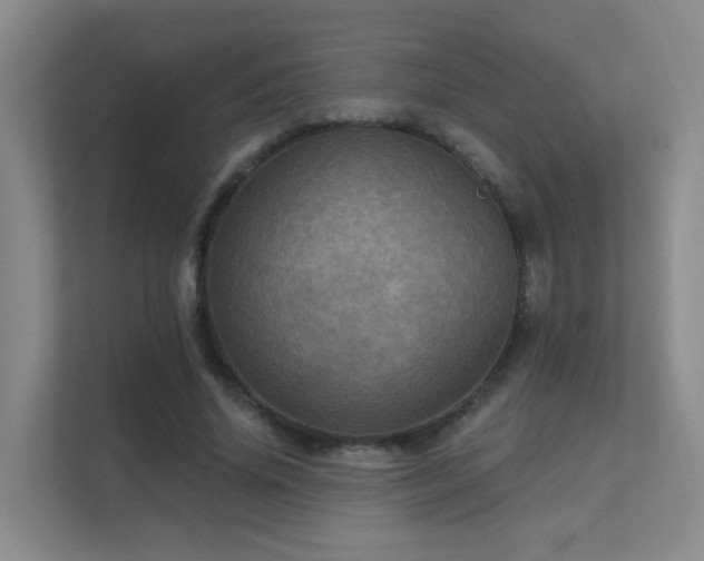 X0000112020636200908101403