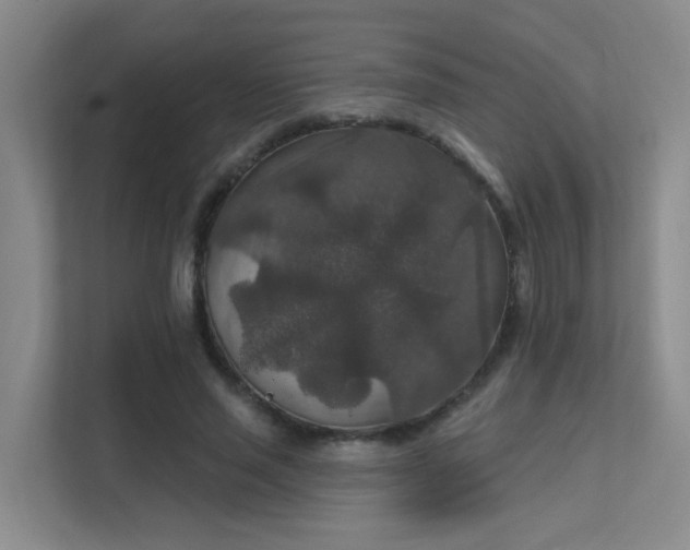 X0000112020637200908101403