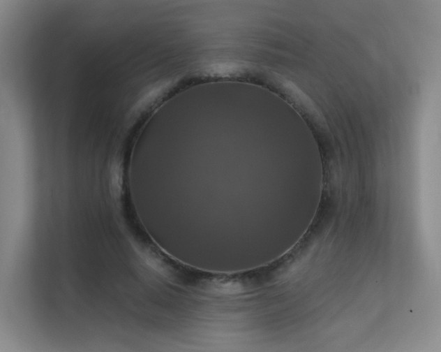 X0000112020640200908101403