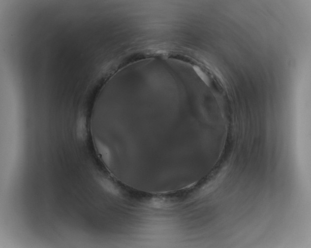 X0000112020641200908101403