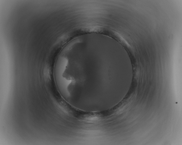 X0000112020643200908101403