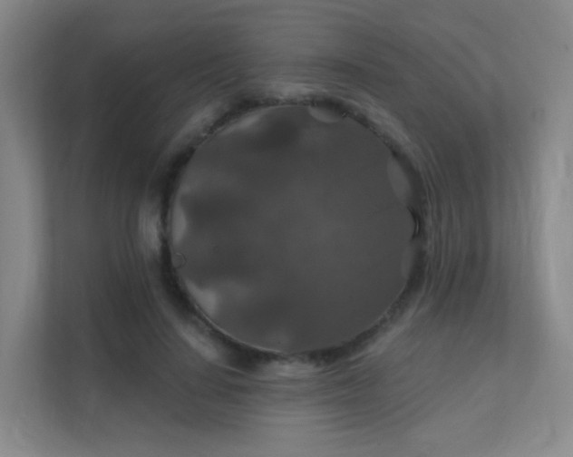 X0000112020644200908101403