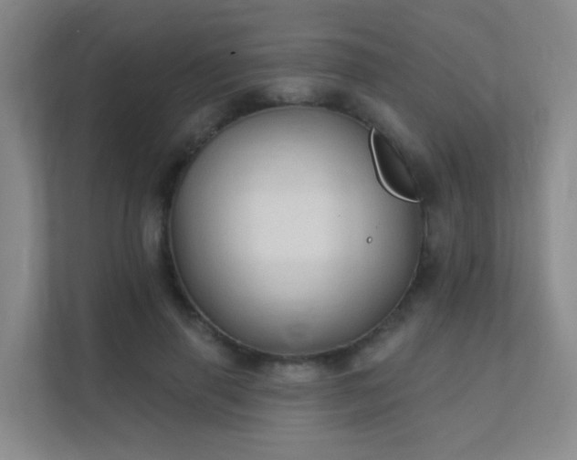 X0000112020645200908101403