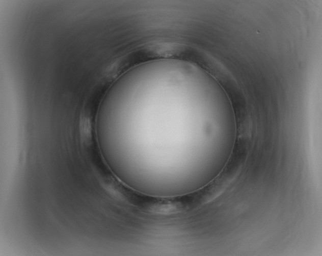 X0000112020646200908101403