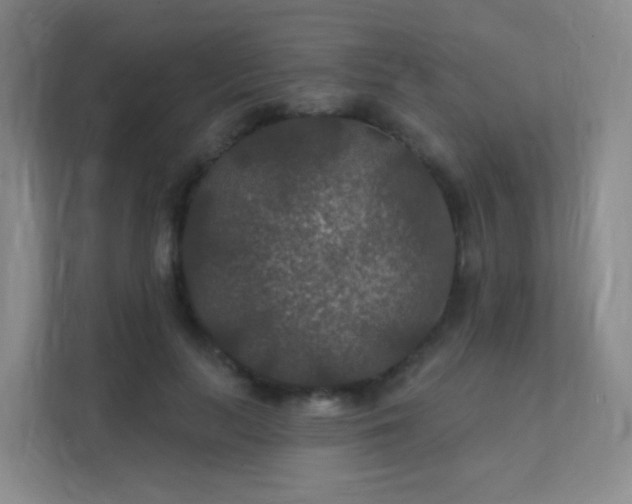 X0000112020647200908101403