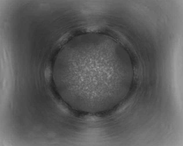 X0000112020648200908101403