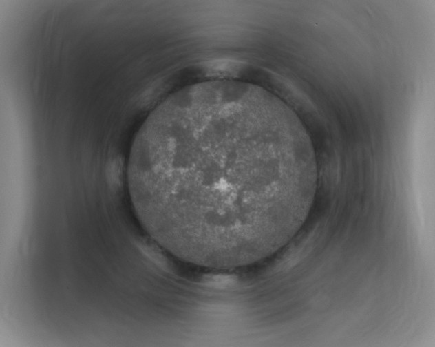 X0000112020649200908101403