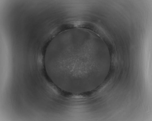 X0000112020650200908101403