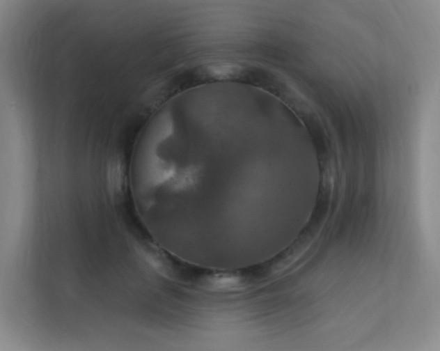 X0000112020651200908101403