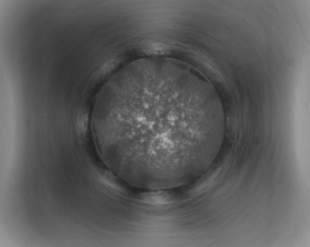 X0000112020652200908101403